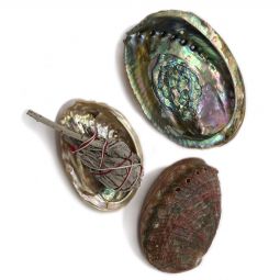 Aroma Burner - Abalone Shells - 3"