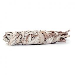 White Sage - Hand Bundled (Medium) 5-6" approximately